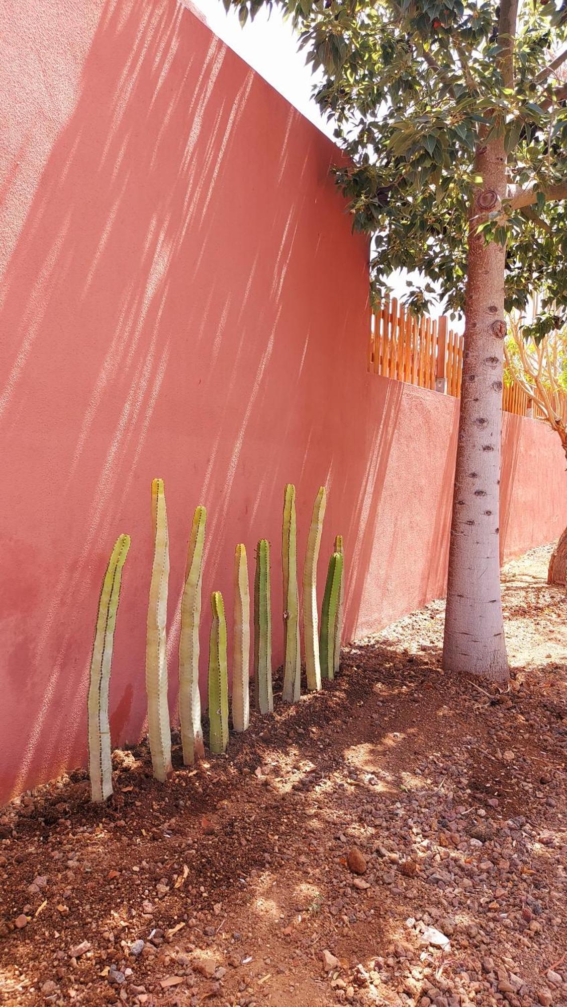 Adosado La Tabaiba Villa San Miguel de Abona Kültér fotó